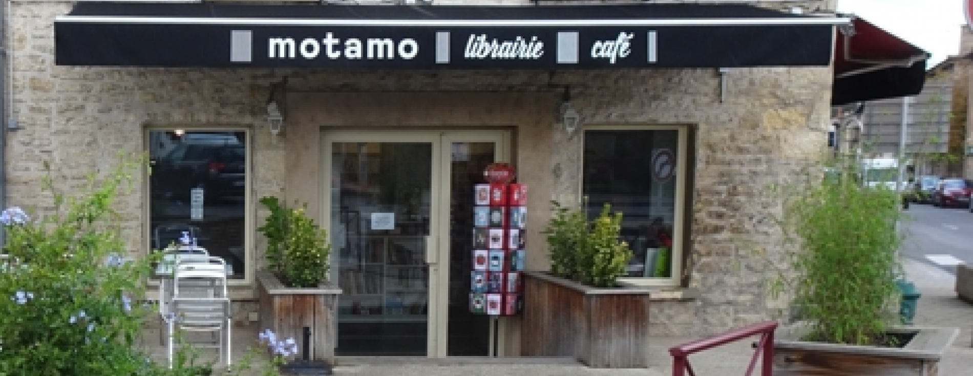 Aides à la filière livre dans Voyons Voir !