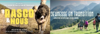 Les 2 films 